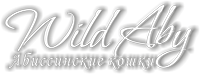 WildAby
